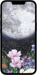 Силиконовый чехол Полночь в саду для Apple iPhone 16e - 6259u-3971 изображение 