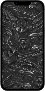 Силиконовый чехол Воронья ярость для Apple iPhone SE 4 - 6474u-3652 изображение 