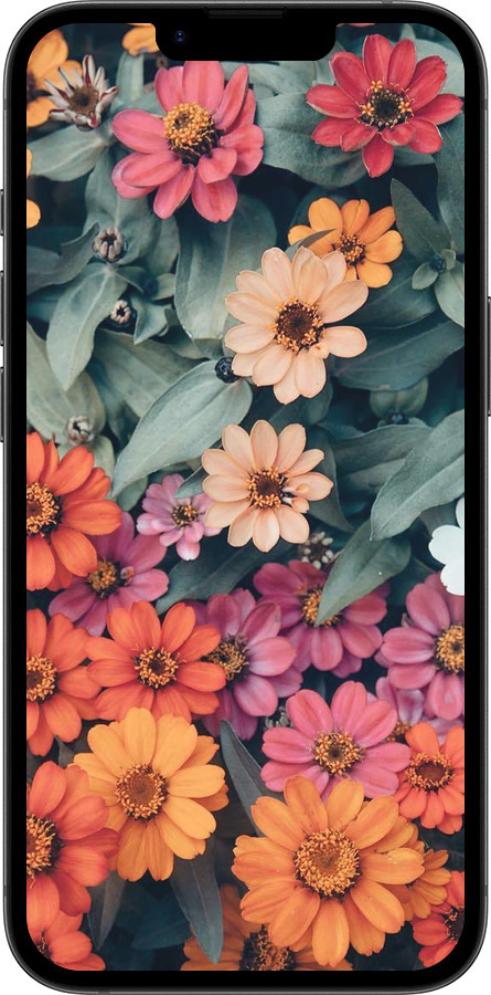 Силиконовый чехол Beauty flowers для Apple iPhone 16e - 4050u-3971 изображение 