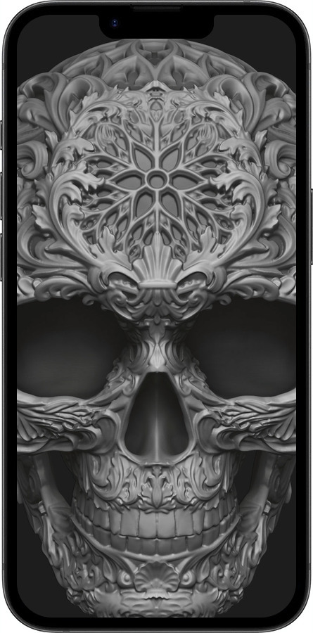 Силиконовый чехол skull-ornament для Apple iPhone 16e - 4101u-3971 изображение 