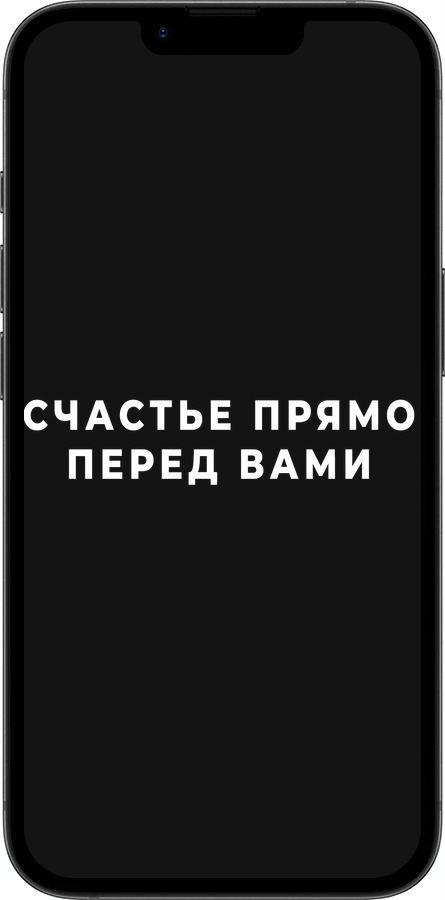 Силиконовый чехол Счастье для Apple iPhone 16e - 4315u-3971 изображение 