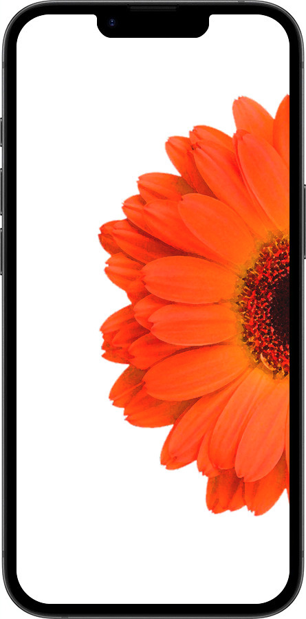 Силиконовый чехол Гербера 1 для Apple iPhone 16e - 4534u-3971 изображение 