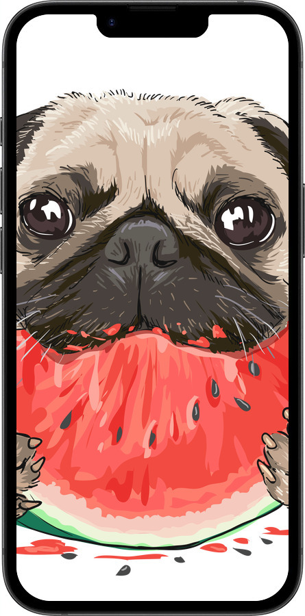 Силиконовый чехол Мопс и арбуз для Apple iPhone SE 4 - 4665u-3652 изображение 