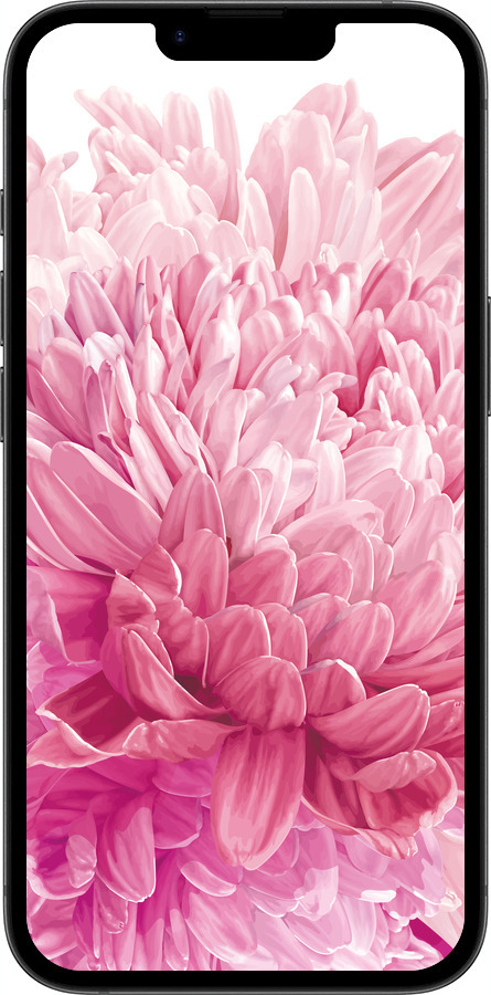 Силиконовый чехол Хризантема для Apple iPhone SE 4 - 4666u-3652 изображение 
