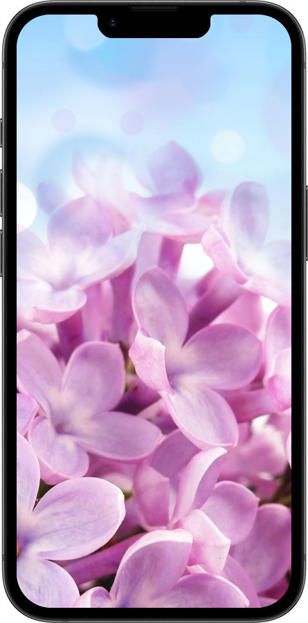Силиконовый чехол Сирень для Apple iPhone 16e - 527u-3971 изображение 