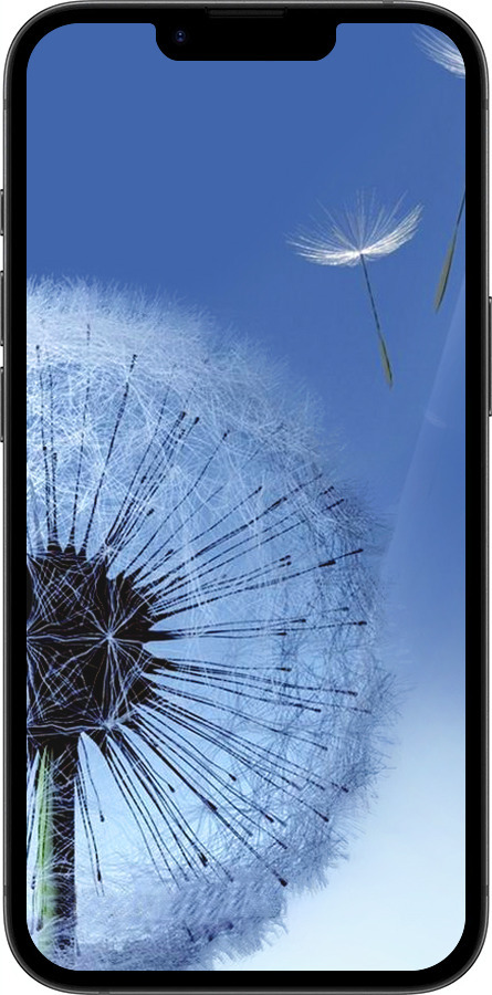 Силиконовый чехол Одуванчик для Apple iPhone SE 4 - 6005u-3652 изображение 