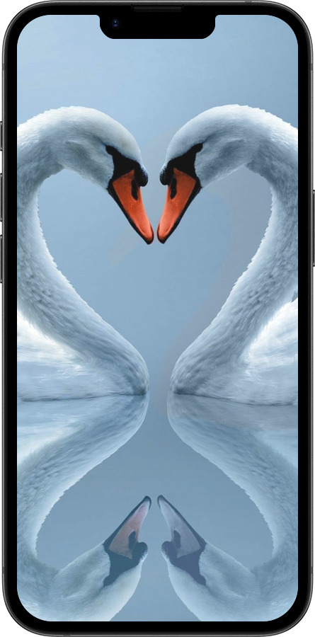 Силиконовый чехол Лебеди для Apple iPhone 16e - 6007u-3971 изображение 