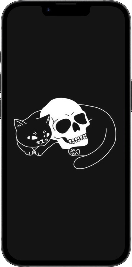Силиконовый чехол С изображением кота и черепа для Apple iPhone 16e - 6491u-3971 изображение 