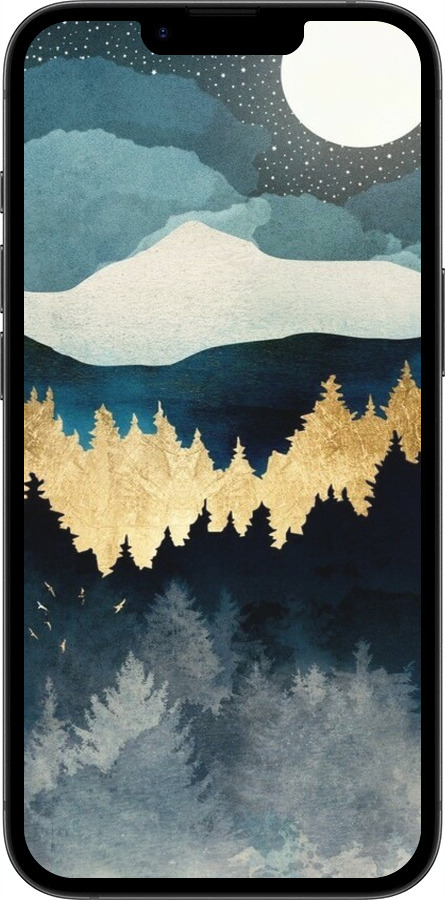 Силиконовый чехол Ночной пейзаж с лесом и горами для Apple iPhone 16e - 6493u-3971 изображение 