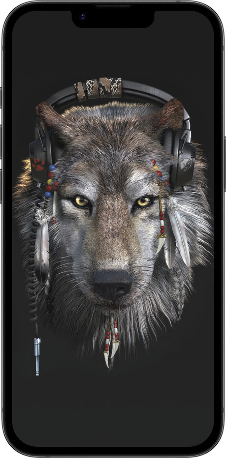 Силиконовый чехол Волк-меломан для Apple iPhone SE 4 - 875u-3652 изображение 