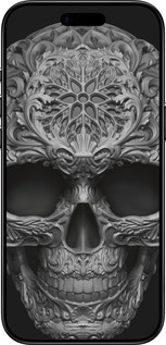 TPU чехол skull-ornament для Apple iPhone 17 AIR - 4101b-4032 изображение 