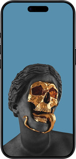 TPU чехол Sculptures для Apple iPhone 17 AIR - 4845b-4032 изображение 