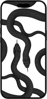TPU чехол Змеи для Apple iPhone 17 AIR - 5473b-4032 изображение 
