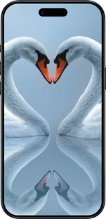 TPU чехол Лебеди для Apple iPhone 17 AIR - 6007b-4032 изображение 