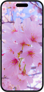 TPU чехол Сакура для Apple iPhone 17 AIR - 6029b-4032 изображение 