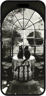 TPU чехол Череп и коты для Apple iPhone 17 AIR - 6432b-4032 изображение 