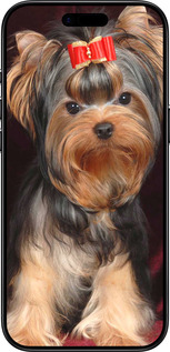 TPU чехол Йоркширський тер'єр для Apple iPhone 17 AIR - 929b-4032 изображение 