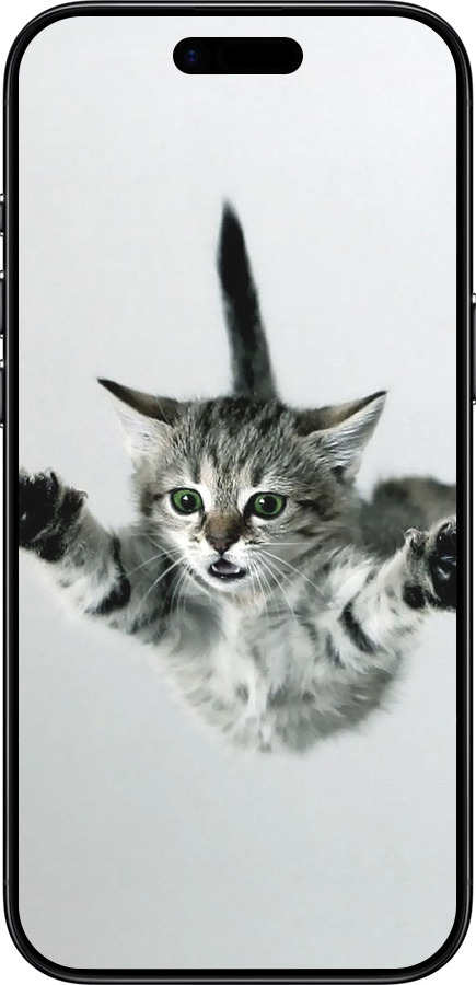 TPU чехол Літаюче кошеня для Apple iPhone 17 AIR - 2322b-4032 изображение 