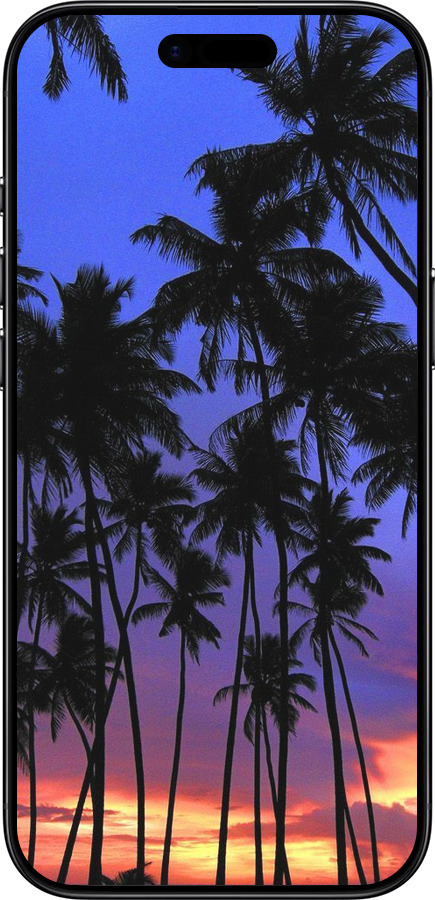 TPU чехол Пальми для Apple iPhone 17 AIR - 4324b-4032 изображение 