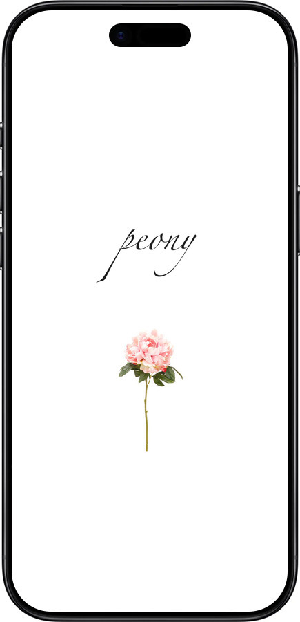 TPU чехол Пион для Apple iPhone 17 AIR - 4366b-4032 изображение 