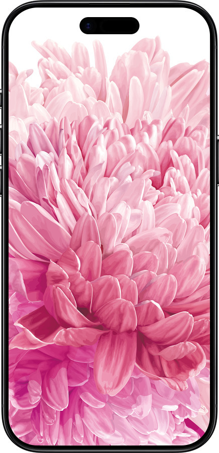 TPU чехол Хризантема для Apple iPhone 17 AIR - 4666b-4032 изображение 