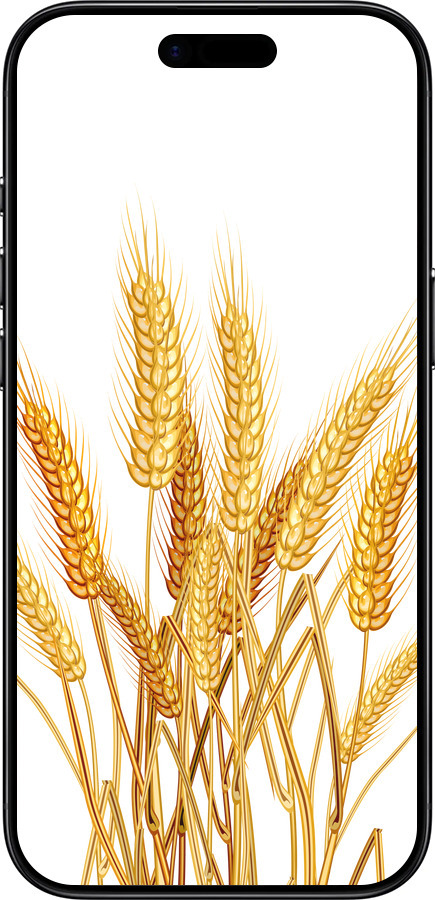 TPU чехол Колоски пшениці для Apple iPhone 17 AIR - 5866b-4032 изображение 