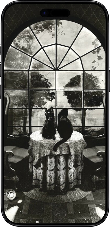 TPU чехол Череп и коты для Apple iPhone 17 AIR - 6432b-4032 изображение 