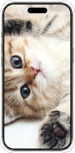 Силикон с усиленными углами чехол Котик для Apple iPhone 17 AIR - 6024sp-4032 изображение 