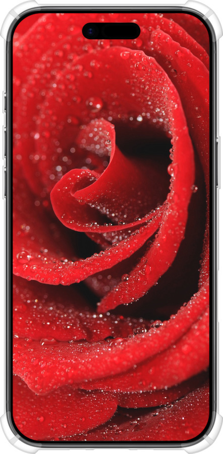 Силикон с усиленными углами чехол Красная роза для Apple iPhone 17 AIR - 529sp-4032 изображение 