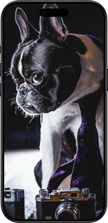 Силиконовый чехол Бульдог-фотограф для Apple iPhone 17 AIR - 142u-4032 изображение 