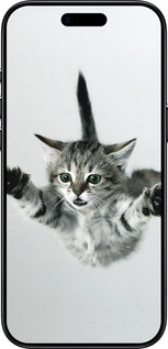 Силиконовый чехол Летящий котёнок для Apple iPhone 17 AIR - 2322u-4032 изображение 