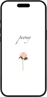 Силиконовый чехол Пион для Apple iPhone 17 AIR - 4366u-4032 изображение 