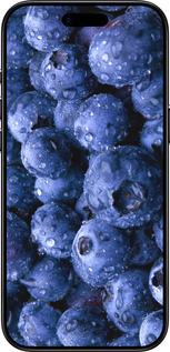 Силиконовый чехол Голубика для Apple iPhone 17 AIR - 4459u-4032 изображение 