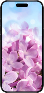 Силиконовый чехол Сирень для Apple iPhone 17 AIR - 527u-4032 изображение 