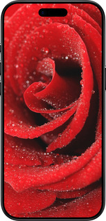 Силиконовый чехол Красная роза для Apple iPhone 17 AIR - 529u-4032 изображение 