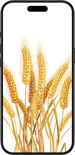 Силиконовый чехол Колоски пшеници для Apple iPhone 17 AIR - 5866u-4032 изображение 