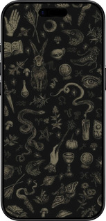 Силіконовий чехол Містичний колаж з травами та магічні символи для Apple iPhone 17 AIR - 6428u-4032 изображение 