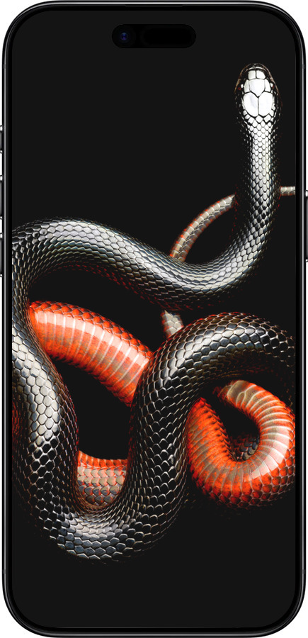 Силиконовый чехол Красно-черная змея на черном фоне для Apple iPhone 17 AIR - 4063u-4032 изображение 