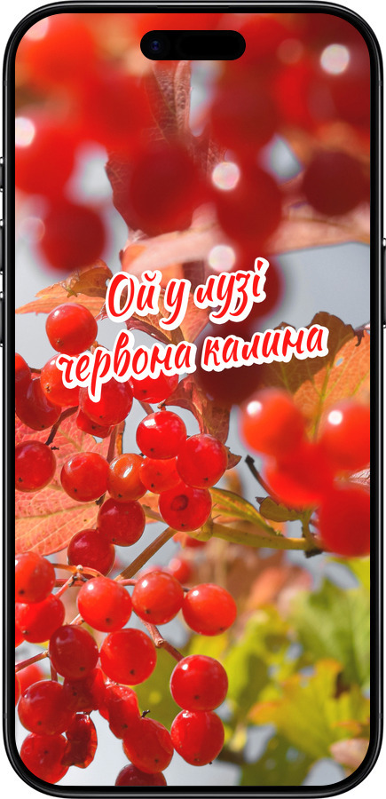 Силиконовый чехол Калина для Apple iPhone 17 AIR - 5454u-4032 изображение 