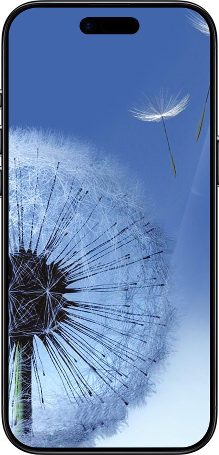 Силиконовый чехол Одуванчик для Apple iPhone 17 AIR - 6005u-4032 изображение 