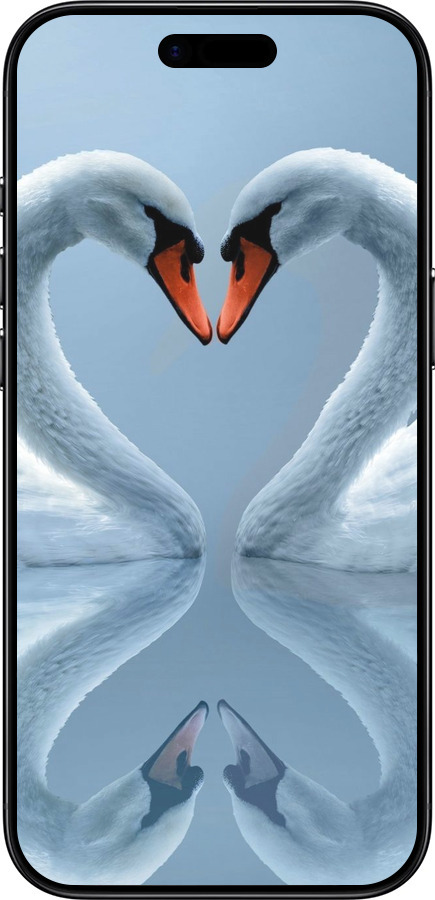 Силиконовый чехол Лебеди для Apple iPhone 17 AIR - 6007u-4032 изображение 