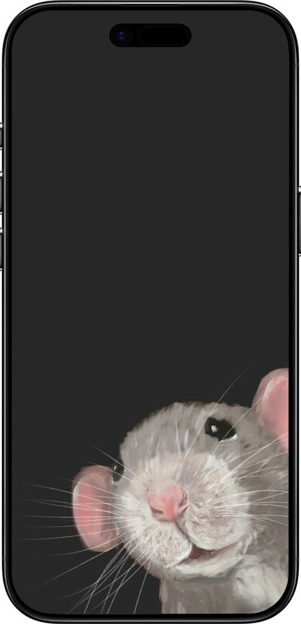 Силиконовый чехол The Peeking Rat для Apple iPhone 17 AIR - 6442u-4032 изображение 