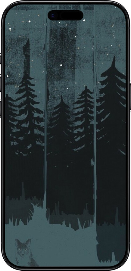 Силиконовый чехол Лиса и ночной лес для Apple iPhone 17 AIR - 6481u-4032 изображение 