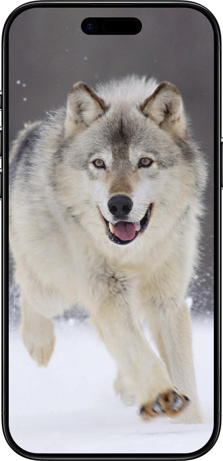 Силиконовый чехол Бегущий волк для Apple iPhone 17 AIR - 826u-4032 изображение 