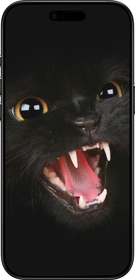 Силиконовый чехол Чёрная кошка для Apple iPhone 17 AIR - 932u-4032 изображение 