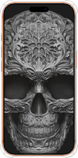 Силикон с усиленными углами чехол skull-ornament для Apple iPhone 17 PRO MAX - 4101sp-4029 изображение 