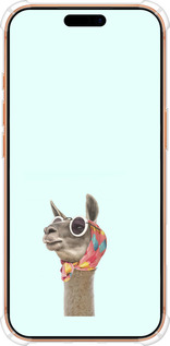 Силикон с усиленными углами чехол Модная лама для Apple iPhone 17 PRO MAX - 4479sp-4029 изображение 