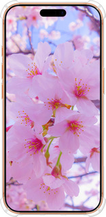 Силикон с усиленными углами чехол Сакура для Apple iPhone 17 PRO MAX - 6029sp-4029 изображение 
