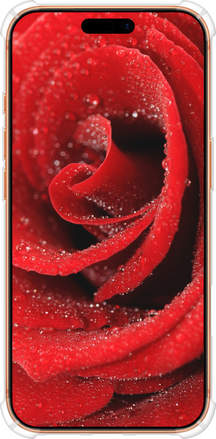 Силикон с усиленными углами чехол Красная роза для Apple iPhone 17 PRO MAX - 529sp-4029 изображение 