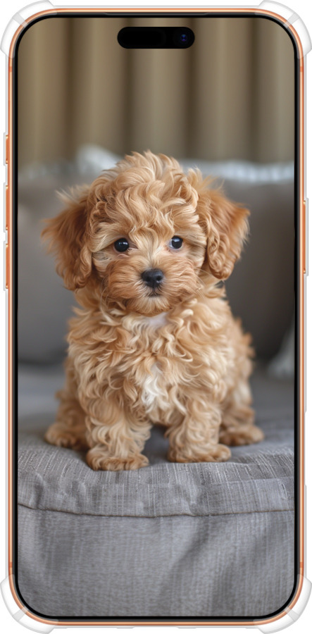 Силикон с усиленными углами чехол Mini-maltipoo для Apple iPhone 17 PRO MAX - 6158sp-4029 изображение 